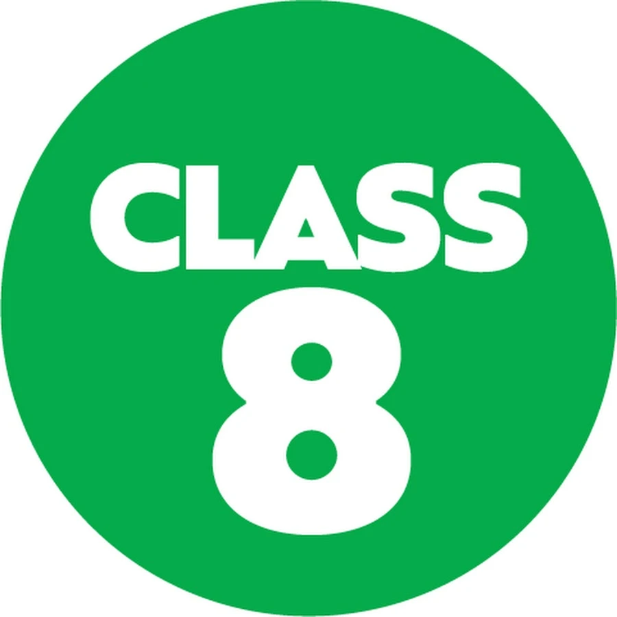 CLASS VIII